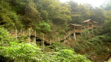北碚缙云山(金果园)+自然博物馆一日游游玩交
