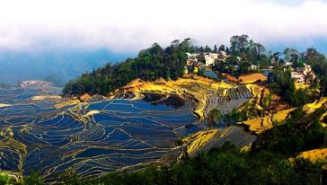 阳梯田摄影两日游(昆明出发,2成人起订,旅游牌