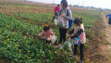 【秋季精选】【亲子体验】佛山三水宝苞农场学