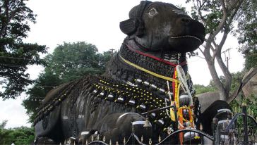 印度迈索尔历史文化一日游(班加罗尔出发)线路
