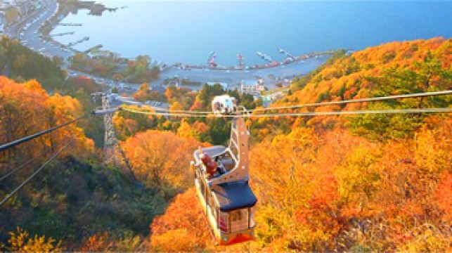 【赏枫包车】东京-富士山专车私导服务(中文司