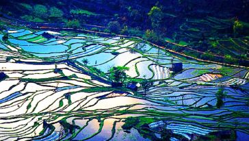 阳梯田摄影两日游(昆明出发,2成人起订,旅游牌