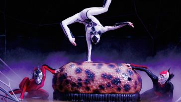 东京台场太阳马戏团演出门票游玩行程\/线路介