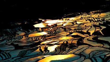 阳梯田摄影两日游(昆明出发,2成人起订,旅游牌