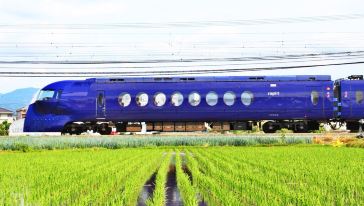 大阪南海电铁特急Rapi:t 号往返成人套票【大阪