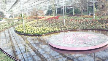 【含餐】天津龙达温泉 幻城仙境采摘休闲一日游