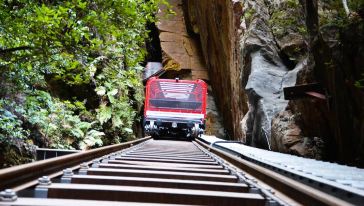悉尼蓝山深度探险一日游(不一样的雨林徒步探