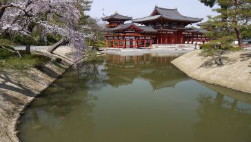 奈良包车赏樱一日游(大阪出发 日语司机优质服