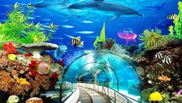 【携程攻略】北京北京太平洋海底世界潜水体验