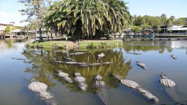 【高空滑索+鳄鱼面对面】奥兰多Gatorland鳄鱼