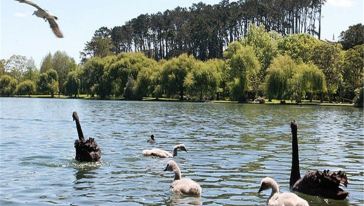 【携程攻略】奥克兰【中文用车】【深度游】千