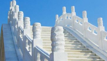 【观七彩向日葵+赏熏衣花海】孝感金卉庄园一