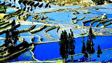 阳梯田摄影两日游(昆明出发,2成人起订,旅游牌