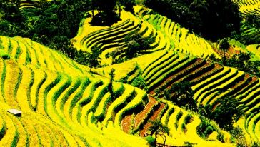 阳梯田摄影两日游(昆明出发,2成人起订,旅游牌