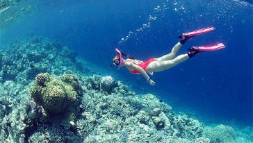 垦丁后壁湖潜水体验(深潜\/浮潜)垦丁购买须知\/