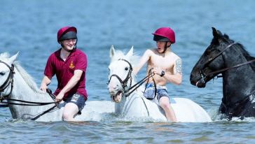 【马背上的海中漫步】毛里求斯下海骑马体验毛