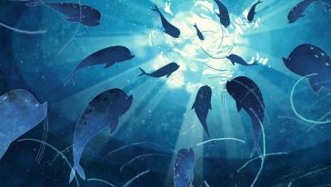 【亲子体验】海底全家总动员:夜宿海洋世界探