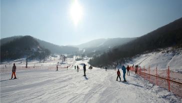 吉林万科松花湖滑雪一日游(含观光票)
