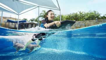 【与海豚共舞】新加坡水上探险乐园+海豚园体