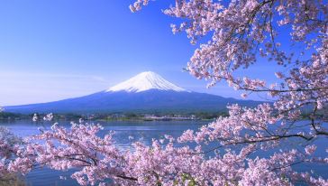 【中文包车拼车 暖春特惠!】东京酒店接送富士