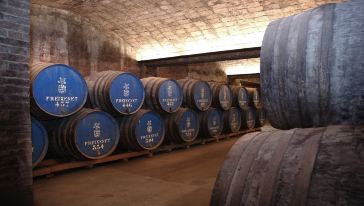 萄酒+起泡酒发现之旅(含Torres酒庄,巴塞罗那出