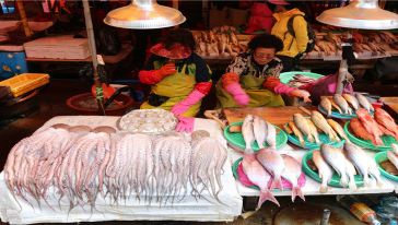 【中文专车,玩转釜山】札嘎其水产市场+太宗台