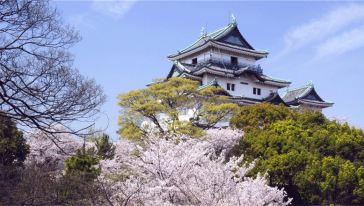 【携程攻略】大阪【日本导游定制服务】大阪2