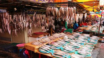 【中文专车,玩转釜山】札嘎其水产市场+太宗台