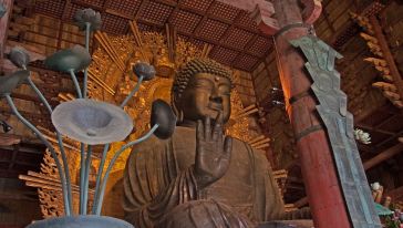 奈良包车赏樱一日游(大阪出发 日语司机优质服