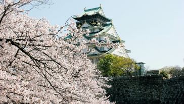 奈良包车赏樱一日游(大阪出发 日语司机优质服