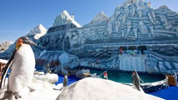 拉斯海马冰岛水上乐园之旅【迪拜酒店接送】游