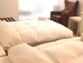 room overview picture