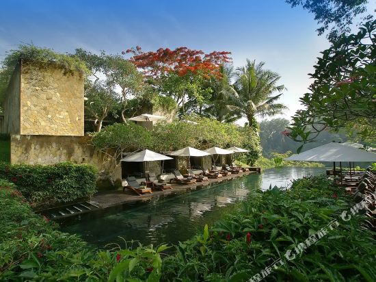 嵺ڲȼٴMaya Ubud Resort & Spa Bali 