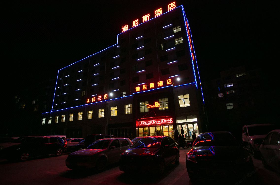 迪尼斯酒店(汝阳店)