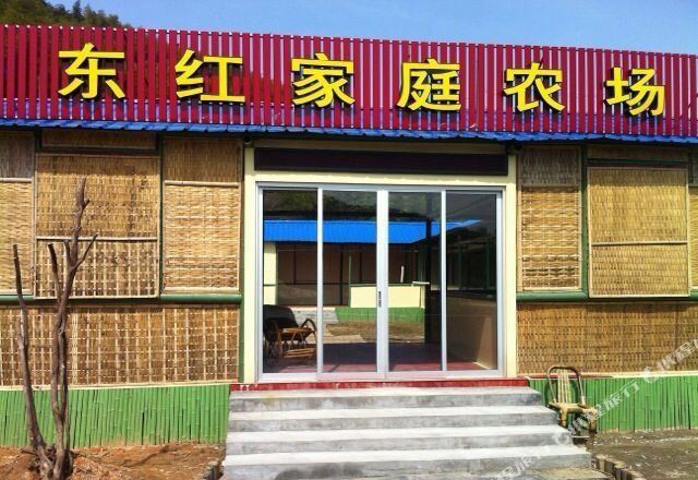 东红家庭农场