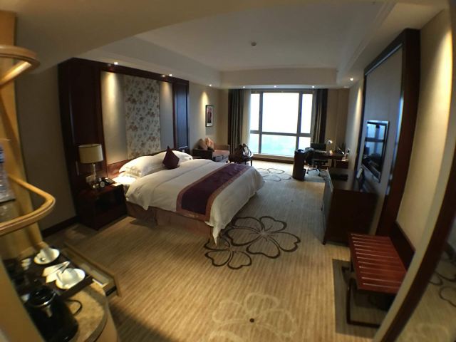 上虞陈溪住宿,去香港需要什么手续,韶关风度华