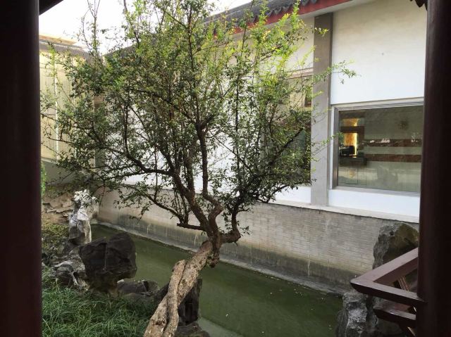 常熟梅园宾馆点评