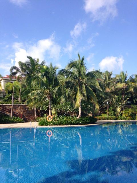 大年初四的时候三亚的气温达到多少?大龙湾的