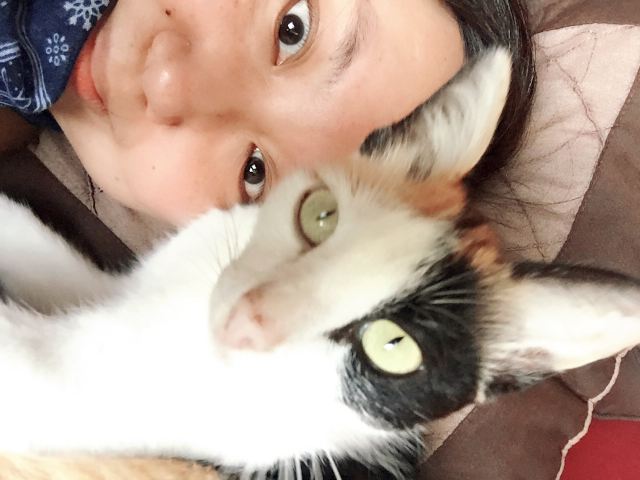 小猫可以吃生鸡蛋黄吗-小猫拉稀不吃东西虚弱