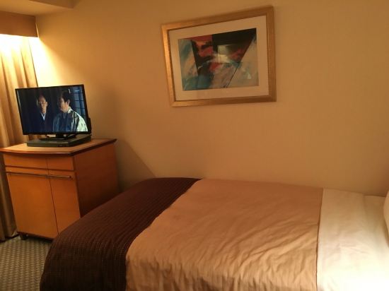 大阪阪神酒店点评,大阪阪神酒店怎么样-【携程