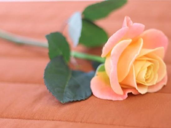 【携程攻略】伦敦牛津街购物攻略,牛津街购物