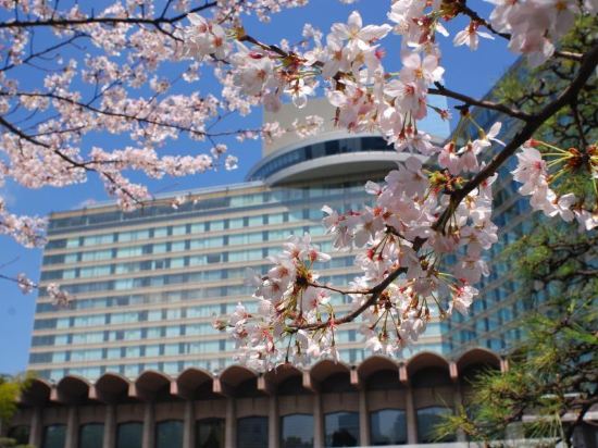 ´ȾƵHotelNewOtaniTokyoTheMain