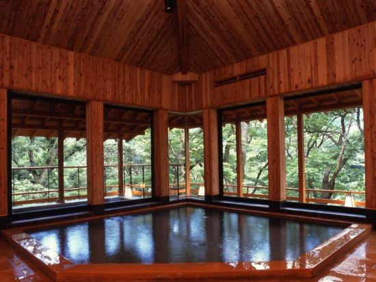 【携程攻略】箱根箱根小涌谷温泉团购,箱根小