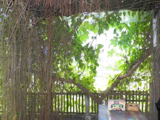 【携程攻略】水宫门票,日惹水宫攻略\/地址\/图片