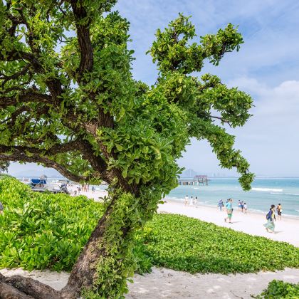 海南10日9晚拼小团 海南10日9晚拼小团