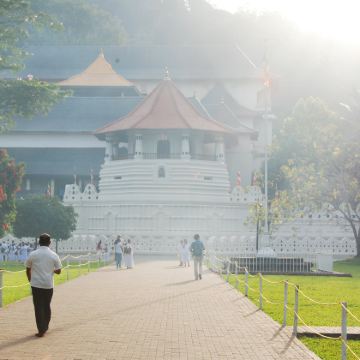 斯里兰卡7日6晚私家团 斯里兰卡7日6晚私家团