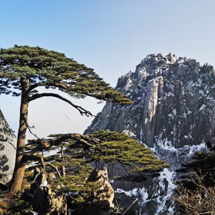 黄山风景区+千岛湖+婺源篁岭5日4晚私家团 黄山风景区+千岛湖+婺源篁岭5日4晚私家团