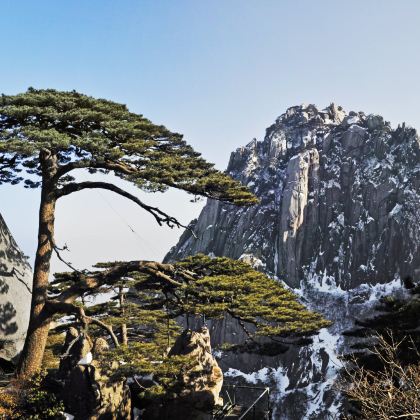 黄山风景区+婺源篁岭+千岛湖景区+宏村5日4晚私家团