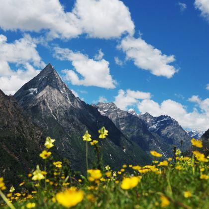 成都+四姑娘山+毕棚沟5日4晚私家团