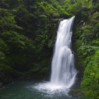 江西井冈山3日2晚拼小团